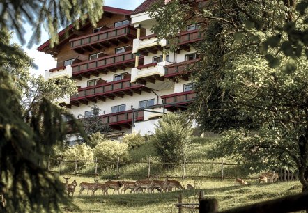 Hauptbild, © Natur- und Wohlfühlhotel Kastenholz