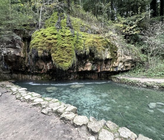 7B338EB7-3C1D-4CCE-A137-46B0501188C1_1_105_c