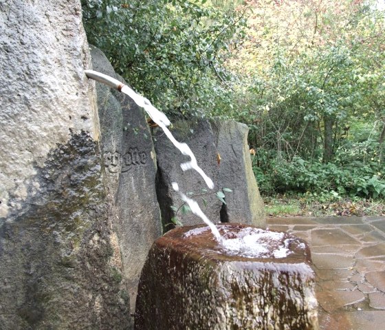 Sprudelnde Burg-Quelle, &copy; VG Pellenz/Manea
