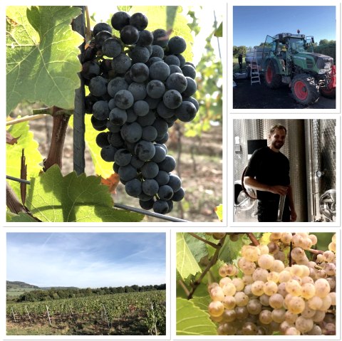 F&uuml;rst, &copy; F&uuml;rst