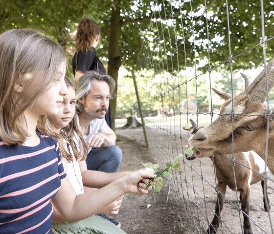 Kinder d&uuml;rfen die Tiere im Br&uuml;ckenkopfpark auch f&uuml;ttern, &copy; Eifel Tourismus GmbH/Tobias Vollmer