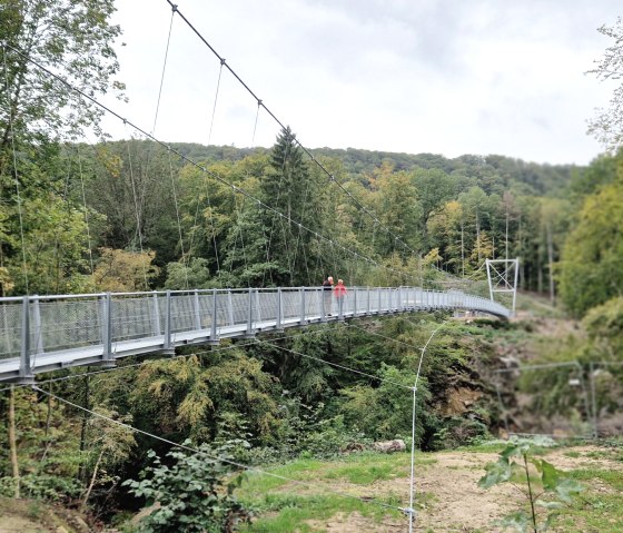 Irrel H&auml;ngebr&uuml;cke, &copy; Gemeinde Irrel