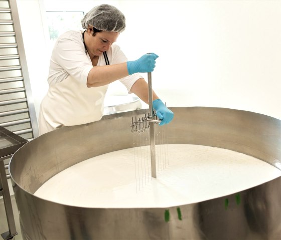 Vulkanhof Ziegenk&auml;se K&auml;sebruch schneiden, &copy; Andreas Goltz | phormat.de