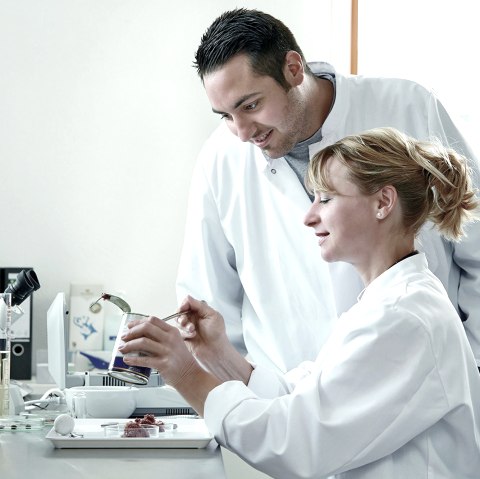 Vet-Concept GmbH &amp; Co. KG, &copy; Vet-Concept GmbH &amp; Co. KG