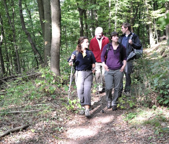 Vier Personen wandern auf einem schmalen Pfad durch einen grünen Wald. Sie tragen Wanderkleidung und Rucksäcke., © Wandermagazin/ N. Glatter