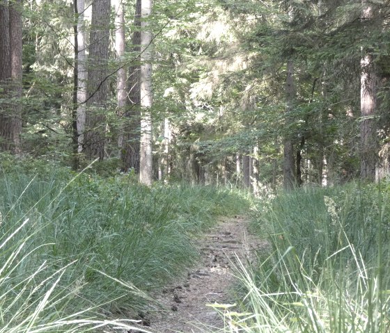 Kleiner Pfad, &copy; TI Bitburger Land