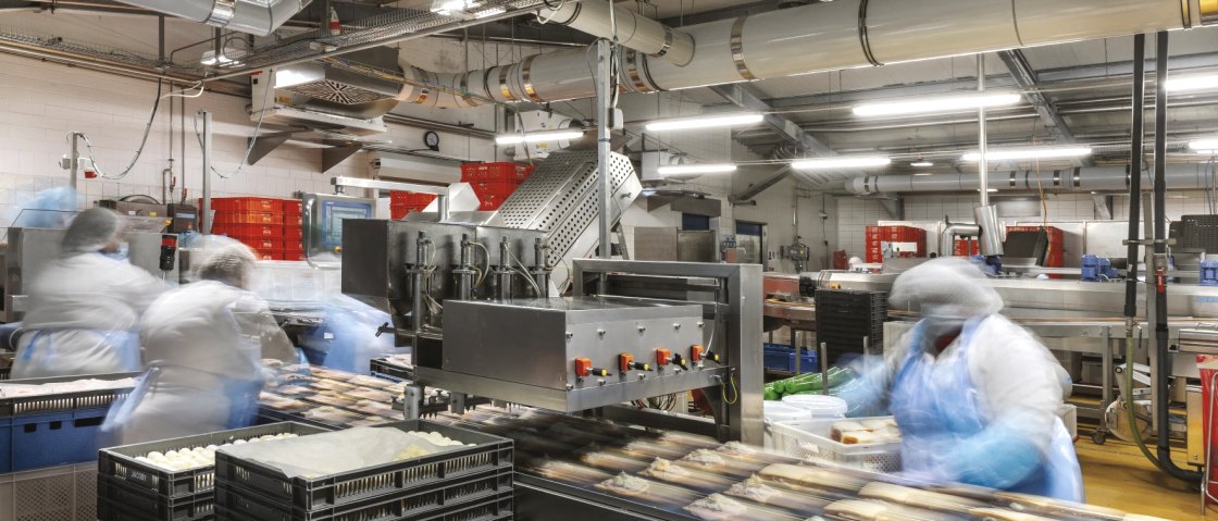Natsu Produktion, &copy; Natsu Food