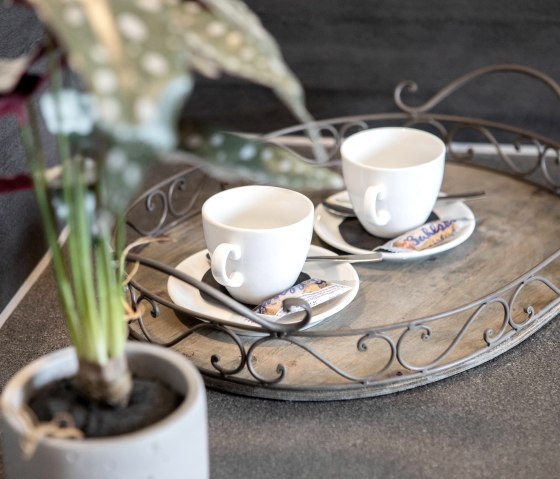 ferienwohnung_maar_chalet_vulkaneifeleifel-0108