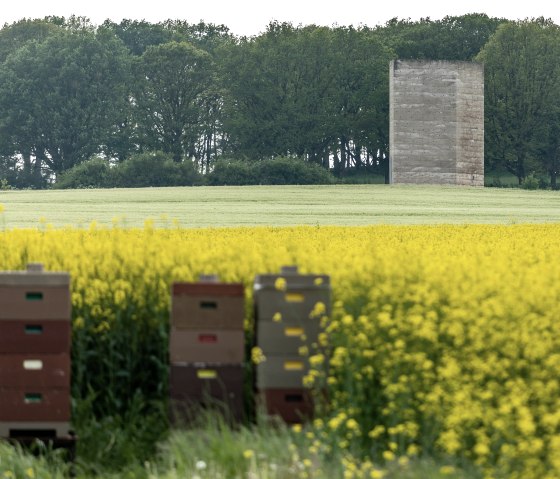 Bruder Klaus Kapelle vor bl&uuml;hemdem Raps, &copy; Eifel Tourismus GmbH, AR - shapefruit AG