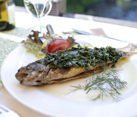 Fangfrische Forelle, &copy; Tobias Stadtfeld