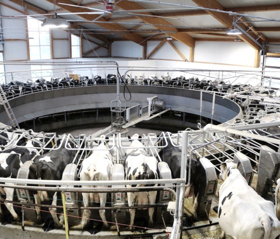 Projekt Hoferweiterung, &copy; Billigen Ingenieur- &amp; Planungsb&uuml;ro