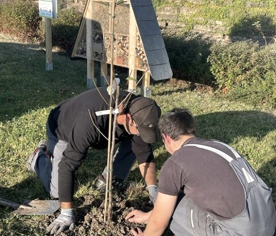 Baumpflanzaktion, &copy; Autohaus Schaal