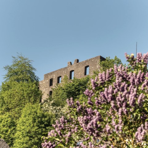 Blick auf die Burgruine Ulmen, &copy; GesundLand Vulkaneifel/D. Ketz