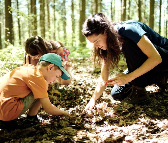 Kindern lernen im Wald, &copy; Waldakademie