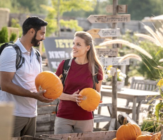 K&uuml;rbisse auf dem Krewelshof, &copy; Eifel Tourismus GmbH, Dominik Ketz