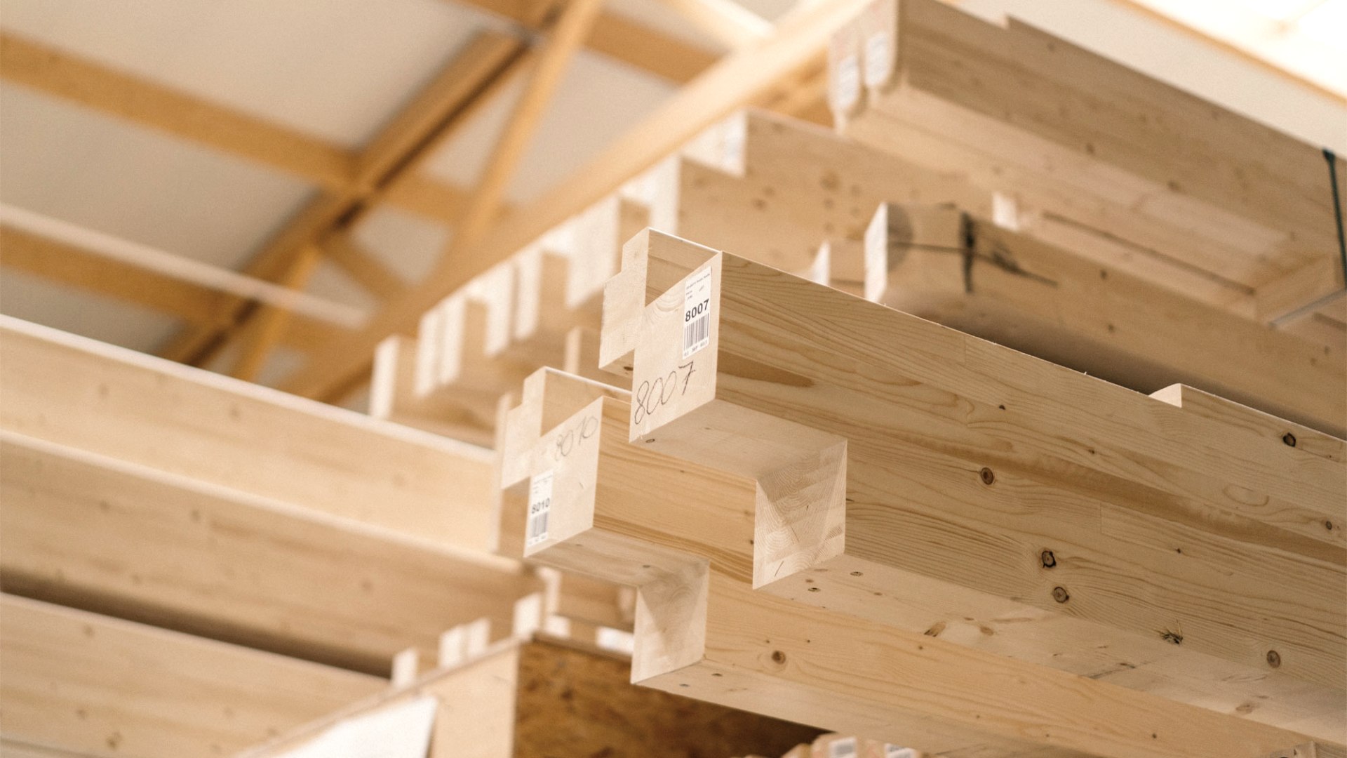 Rohstoff Holz, © Zukunftsinitiative Eifel (c) Lars May