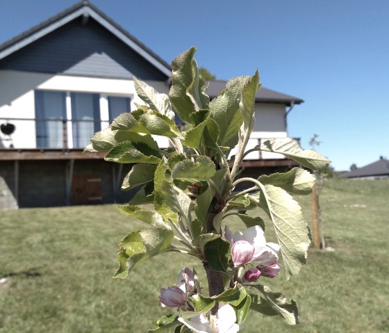 IMG_20200506_142600320