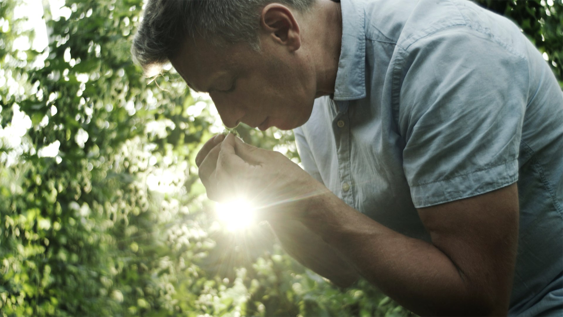 Hopfenbauer Dick, © Bitburger Braugruppe/Novum Filmproduktion