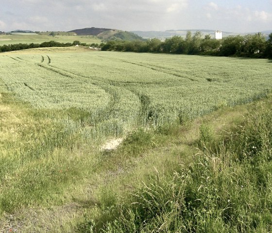 Ein Silo von Pl&ouml;tner, &copy; Pl&ouml;tner
