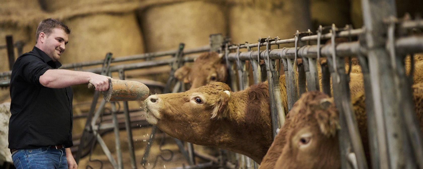 Manuel Sch&ouml;pges im Stall, &copy; T&ouml;mmelhof