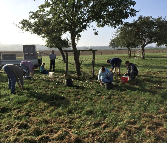 Apfelernte als Dorf-Gemeinschaftsprojekt, © Heiko Jakobs