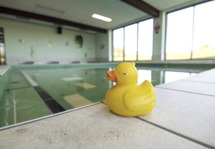 Badeente Schwimmerbecken, &copy; Gemeinde Simmerath