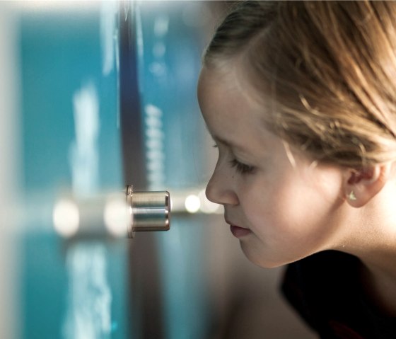 Kind an der Duftwand, &copy; LVR-ZMBD. Schmitz