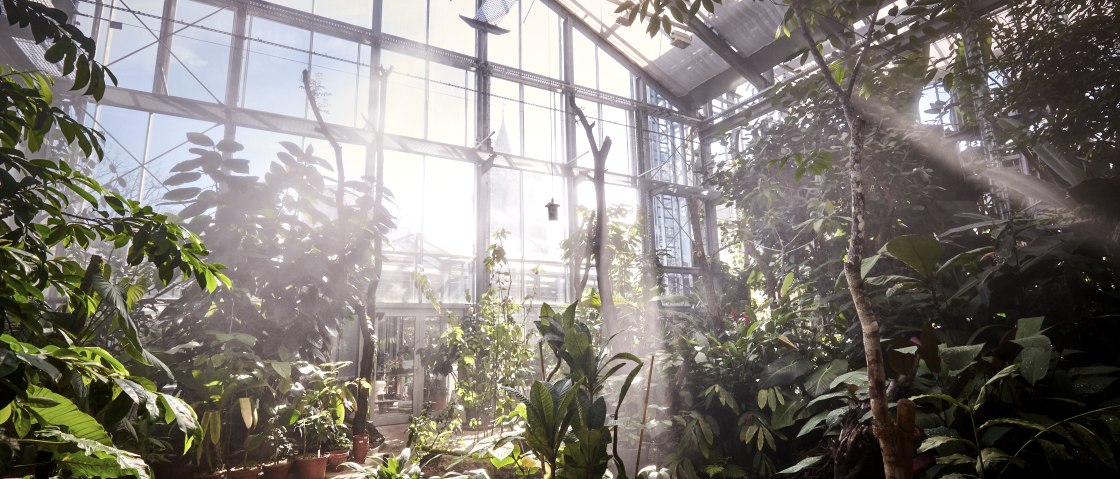 Pflanzen wachsen mit den Substraten von KLANZ gut, &copy; Jannik Hammes Fotografie