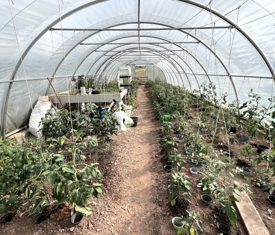 Im Gew&auml;chshaus, &copy; Eifel Tourismus GmbH/Angelika Koch