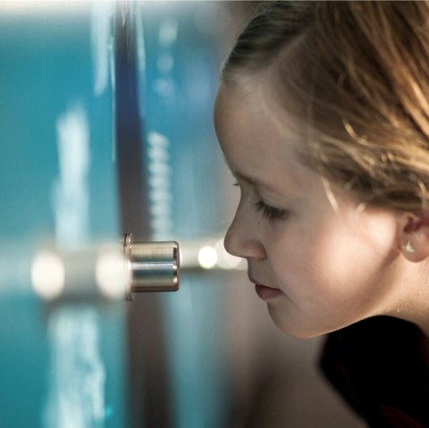 Kind an der Duftwand, &copy; LVR-ZMBD. Schmitz