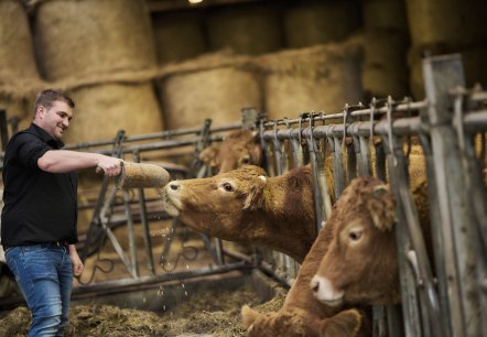 Manuel Sch&ouml;pges im Stall, &copy; T&ouml;mmelhof