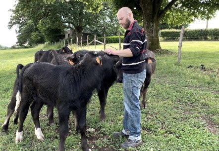 Wasserbüffel, © Zukunftsinitiative Eifel / Eifel Tourismus GmbH