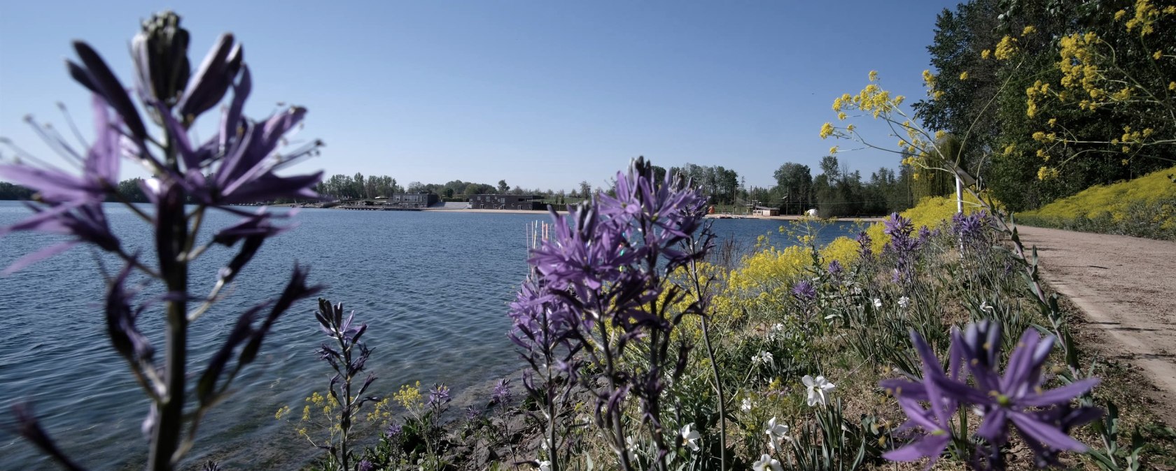 Seepark Zülpich, Blumen am Wasser, © Seepark Zülpich