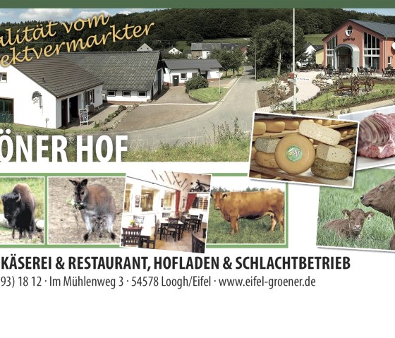 Flyer, &copy; Gr&ouml;ner Hof