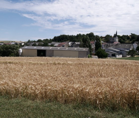 Blick auf ein Kornfeld, &copy; RME