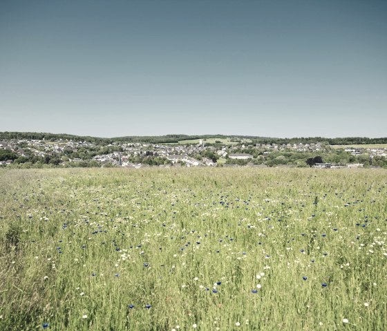 Eifellandschaft im Sommer, &copy; Schieferland Kaisersesch