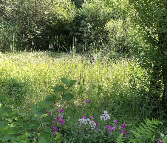 Stuco Biotop, &copy; Stuco Fullservice GmbH