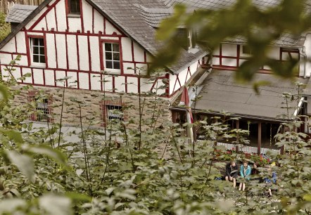 G&ouml;belsm&uuml;hle von oben, &copy; Gesundland Vulkaneifel GmbH, Marco Rothbrust