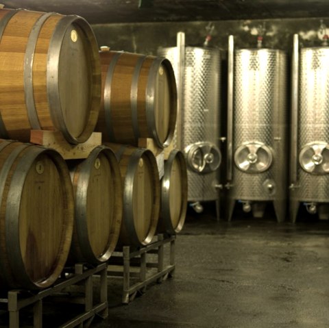 Weinkeller, © Tourist-Information Wittlich Stadt & Land