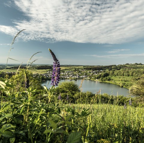 Schalkenmehrener Maar , &copy; Eifel Tourismus GmbH, Dominik Ketz